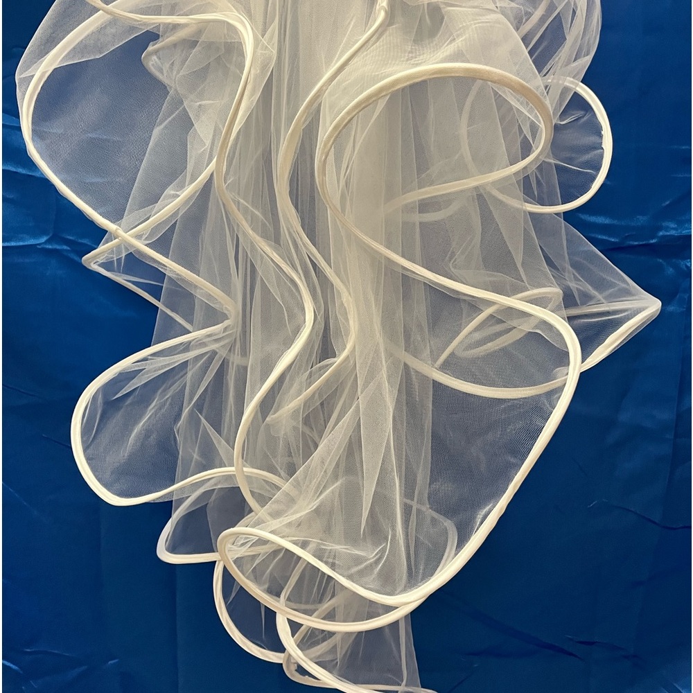 Unique White Veil - Picture 2 of 3